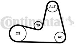 Continental Ctam Set curea transmisie cu caneluri CONTINENTAL CTAM 7PK1035K1 (7PK1035K1) - automobilus