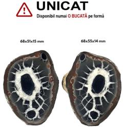  Septaria din Maroc Brut 45-73 x 36-56 x 11-17 mm mineral unicat - 1 Buc