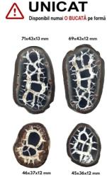  Septaria Bruta din Maroc 23-30 x 19-26 x 5-10 mm mini specimen pentru colectie - 1 Pereche