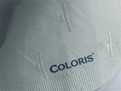 COLORIS Bélyegzőfesték, 50 ml, textilhez, COLORIS, "Berolin Ariston", fehér (ITSTK50F)