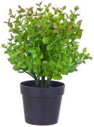 Bizzotto Buxus artificial in ghiveci 25h (BI0171051)
