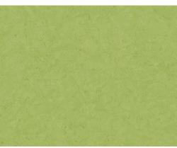 As Creation Tapet Beton verde