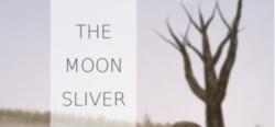 David Szymanski The Moon Sliver (PC)