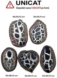  Septaria Maroc Mineral Natural - 54-64 x 36-49 x 11-17 mm - ( XXL)