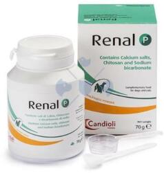 Candioli Pharma Renal P 70g 0.07 kg