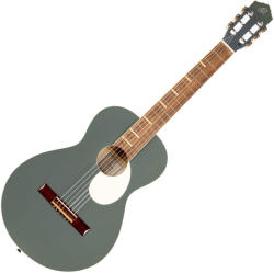 Ortega Guitars RGA-PLT