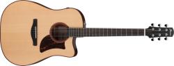 Ibanez AAD300CE-LGS