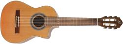 Ortega Guitars RQ39E