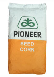 Pioneer Seminte de porumb Pioneer P9025, FAO 300, 80.000 boabe