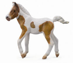 CollectA Figurina Manz Dartmoor Hill Skewbald M (COL88735M) Figurina