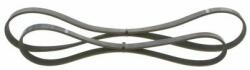 Bosch Set curea transmisie cu caneluri BOSCH Elastic 1 987 946 196 (1 987 946 196)