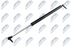 NTY Amortizor portbagaj NTY AE-CH-002 (AE-CH-002)
