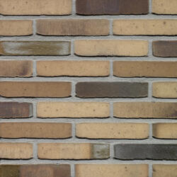 Terca Milosa Hoornbloem (215 x 65 x 23 mm) (Terca-65710821)
