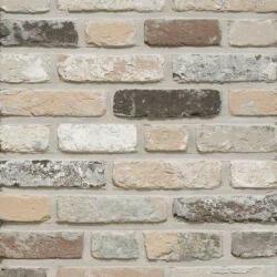 Terca Rustica Oud Leerne (215 x 65 x 23 mm) (Terca-65710381)