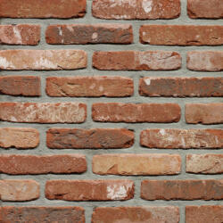 Terca Rustica Oud Kempisch (215 x 65 x 23 mm) (Terca-65710401)