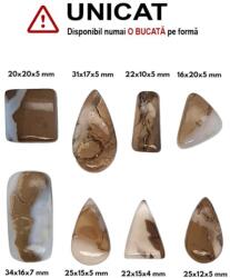 Cabochon din Agata Oul Tunetului de Forma Ovala - Dreptunghi - Picatura - Triunghi - 16-34 x 10-20 x 4-7 mm - 1 Buc