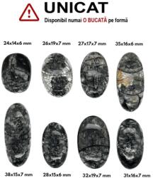  Cabochon din Fosil Orthoceras de Forma Ovala - 24-35 x 14-19 x 6-7 mm - 1 Buc