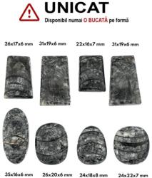  Cabochon din Fosil Orthoceras de Forma Ovala - Neregulata - 24-35 x 16-22 x 6-8 mm - 1 Buc