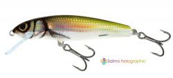 Salmo Vobler Salmo Minnow M7F HBL Floating, 7cm, 6g (84427175)