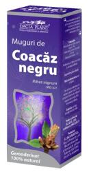 Dacia Plant, Romania Gemoderivat Muguri de Coacaz Negru 50ml