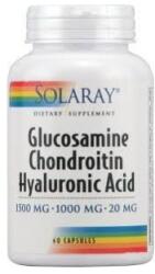 Glucosamine Chondroitin Hy x 60 cps