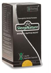 DARMAPLANT Sleepnature 60cps, Darmaplant