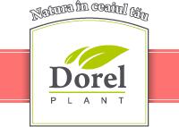Dorel Plant Tinctura De Levantica 200ml, Dorel Plant