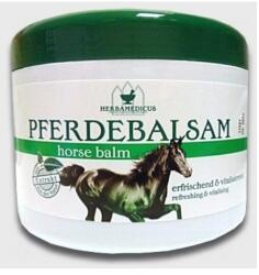 Herbamedicus Balsam Camforat Pferdebalsam x 500 ml