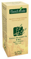 PlantExtrakt, Romania Extract de Muguri Fag