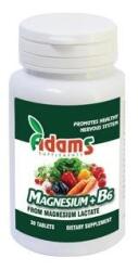 Adams Vision Magneziu+B6 90cpr