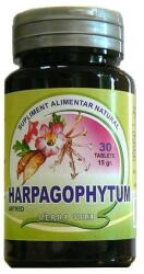 MER-CO Artred (Harpagophytum) 30cpr