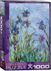 EUROGRAPHICS Puzzle Eurographics din 1000 de piese - Irisi, Claude Monet (EG60002034)