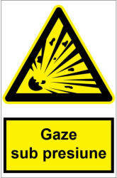  Sticker indicator Gaze sub presiune