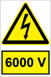 Sticker indicator 6000V