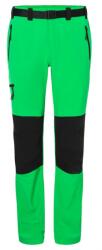 Daiber Pantaloni de trekking pentru bărbați JN1206 - Ferigă / neagră | L (JN1206-1772040)