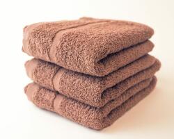 PROFOD Prosop mic Economy 30x50 - Maro | 30 x 50 cm (P119005) Prosop