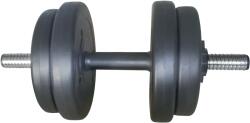 Actuell Fitness Дъмбел 10 кг. с пластмасови дискове (dbs2551-10)