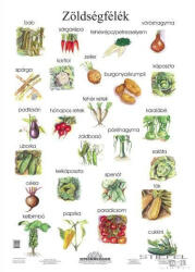 Stiefel Zöldségfélék (75957)
