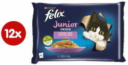 FELIX Fantastic Junior csirkehússal és lazacszalettel, zselében 12(4x85g)