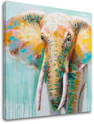 A kép vásznon SLON 1 rész XOBCH1930ME1