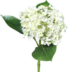 4-Home Hortensie artificială albă, 44 cm
