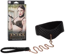 CalExotics Posture Collar With Leash