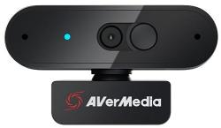 AVerMedia PW310P
