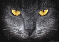 AA Design Fototapet ochi de pisica neagra (FTNM2640)