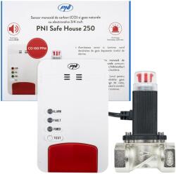 PNI Kit PNI Safe House Dual Gas 250 cu senzor monoxid de carbon si gaze naturale si electrovalva 3/4 (MR.PNI-SH250)