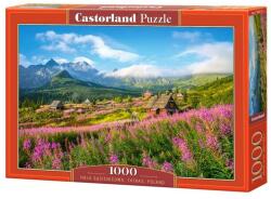 Castorland Пъзел Castorland от 1000 части - Татри, Полша (C-104512-2)
