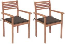vidaXL 2 db tömör tíkfa kerti szék párnákkal (3062270/71/72/73/74/75/76/77/78/79)