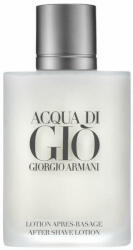Giorgio Armani Acqua Di Gio pour Homme 100 ml