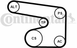 Continental Ctam Set curea transmisie cu caneluri CONTINENTAL CTAM 6PK1900K1 (6PK1900K1) - automobilus