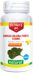 Dr. Herz Ginkgo Biloba Forte 120 mg+Magnézium 60 db